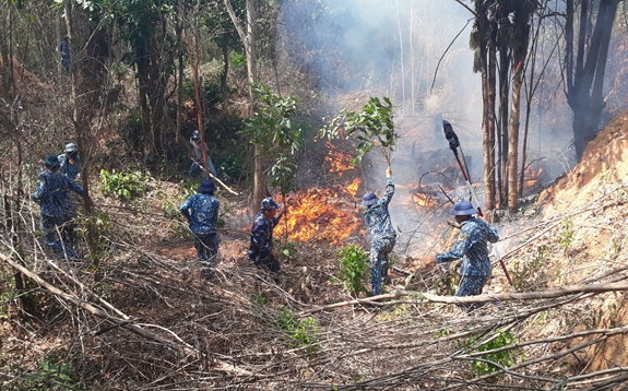 Tăng cường các biện pháp cấp bách phòng cháy, chữa cháy rừng
